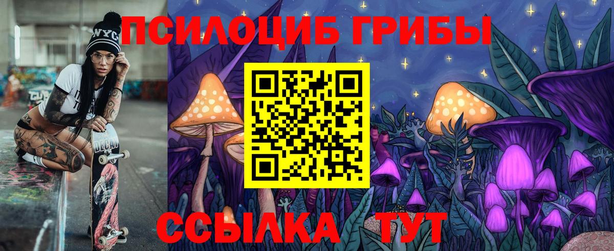 Галлюциногенные грибы Psilocybine cubensis  Вход с VPN  Шали 