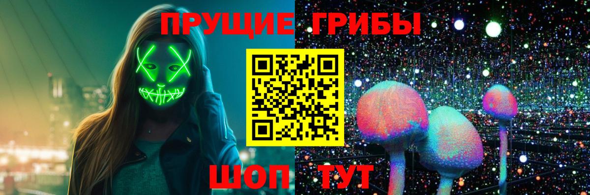 Галлюциногенные грибы Psilocybine cubensis Шали